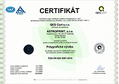 ISO 9001:2009 small